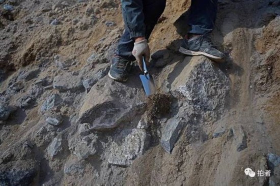 �b�͍u�����C���Bɽ��������˭h(hu��n)���^�l�� 